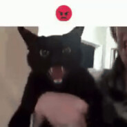 Angry Kitty