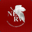 NERV_Rocky