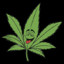 MoneyMan420