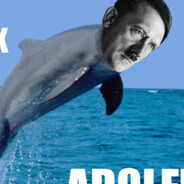 ADOLPHIN Steam avatar