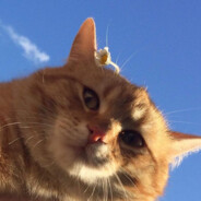 WhyuSmile