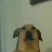 𝕃𝕖𝕠𝕩