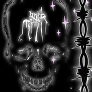 temzx - steam id 76561199845883439
