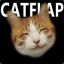 Catflap106