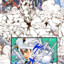 Weather Report