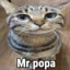 MR Popa
