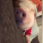 一个葫芦娃和他的七个