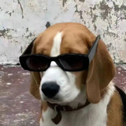 撒哈拉沙漠的第一场雪