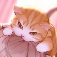 星河有望，可我无你