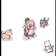 Bocchi