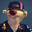 Sloth Verstappen