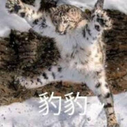 爱宝宝的雪豹