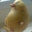 Potatoes_Duck