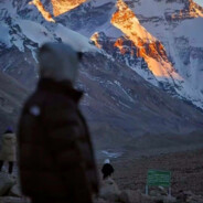 翻斗花园小学生