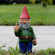 My Lawn Gnome's Avatar
