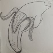 Smooth Endoplasmic Reticulum