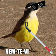 Nem-Te-Vi