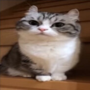 Сладкий единорог