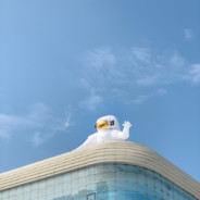 德布罗意有点慌