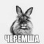 Habiblia
