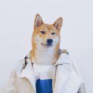 美式咖啡不加冰