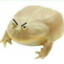 MadToad