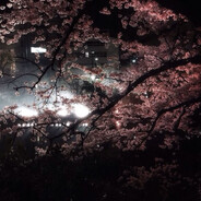 ...сага...???сага!!!