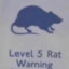 Level 5 rat