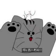 23亿土豆公主nim