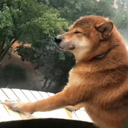 鼠鼠