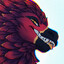 NoxyBurd