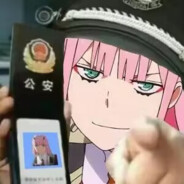 尊师小鱼徒弟DARLING