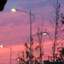 雲