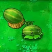 给你带个西瓜皮