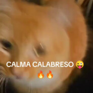 calma calabreso