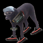 Gucci dog