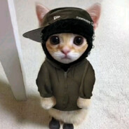 Hi Iam Krecek