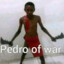 Pedro of war