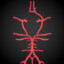 11 Circle Of Willis 11