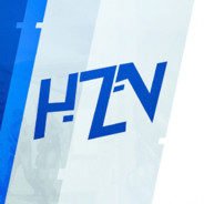 t1x33