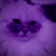 Мяу-мяу