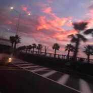 我什么都守护不了