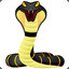 snake5venom5