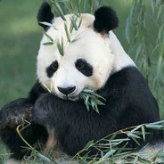 皮皮虾我们走66