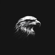 EAGLE - steam id 76561199403412018