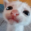 222