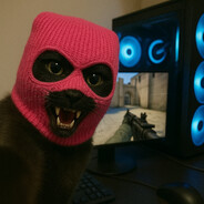 BeKitty - steam id 76561198113517333