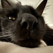 Stinky Inky