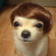 Donald Dog Trump -iwnl-