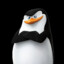 Skipper